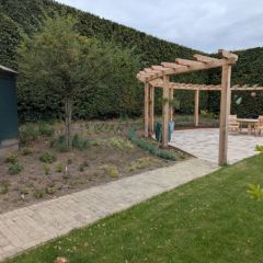 Pergola beplanting borders kiwi - Hoveniersbedrijf C.K. van Mourik de hovenier voor West Betuwe, Tiel, Culemborg, Geldermalsen, Buren