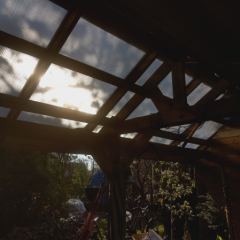 IMG_20200409_181231.jpg