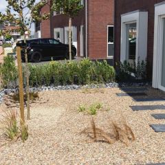 Voortuin met Grauwacke-split. Groepen van grassen en sierappelboom zorgen nog voor een groene uitstraling.  - Hoveniersbedrijf C.K. van Mourik Buurmalsen West-Betuwe Buren Tiel Culemborg