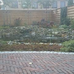 Tuin met vijver een jaar na aanleg - Hoveniersbedrijf C.K. van Mourik