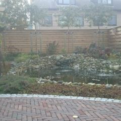 Tuin een jaar na aanleg - Hoveniersbedrijf C.K. van Mourik