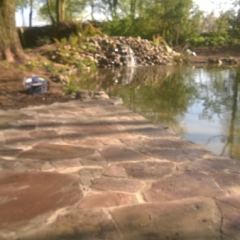 Bestrating bij vijver van flagstones  - Hoveniersbedrijf C.K. van Mourik