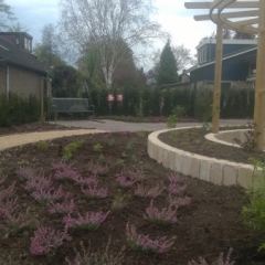 Heidetuin in combinatie met vaste planten  - Hoveniersbedrijf C.K. van Mourik