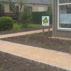 Grassentuin na inplant  - Hoveniersbedrijf C.K. van Mourik