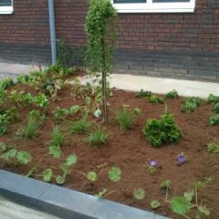 Voortuin beplanting schaduwrijk - Hoveniersbedrijf C.K. van Mourik