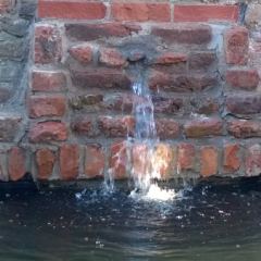 Waterval van oude kloostermoppen - Hoveniersbedrijf C.K. van Mourik