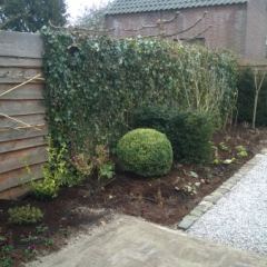 Gemengde plantenborder - Hoveniersbedrijf C.K. van Mourik