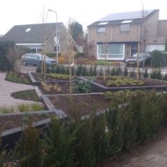 Verhoogde borders ingeplant Hoveniersbedrijf C.K. van Mourik Geldermalsen - Tiel - Culemborg