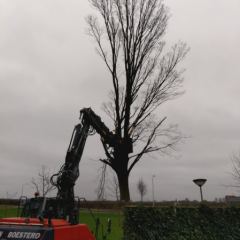 Wegtillen van haagbeuk met mobiele kraan en sorteergrijper  - Hoveniersbedrijf C.K. van Mourik Buurmalsen, West-Betuwe, Buren, Tiel, Beusichem, Culemborg, Meteren, Tricht, Deil, Asch, Zoelen, Zoelmond, Avezaath, Erichem, Geldermalsen,