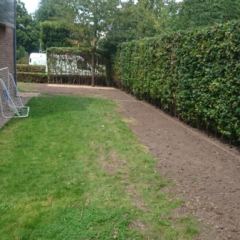 Gerooide beplanting wordt gazon - Hoveniersbedrijf C.K. van Mourik