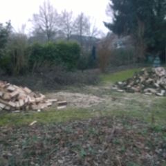 Zagen en kloven van bomen tot kachelhout. Van eigen hout krijg je het niet koud - Hoveniersbedrijf C.K. van Mourik