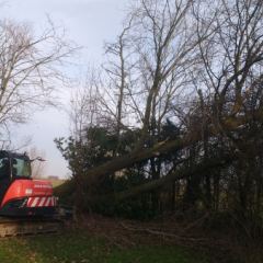 Omgewaaide bomen opruimen met midi-kraan - Hoveniersbedrijf C.K. van Mourik Geldermalsen