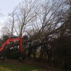 Stormschade opruimen met midi-graver met sorteergrijper - Hoveniersbedrijf C.K. van Mourik Geldermalsen