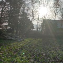 Snoeihout versnipperen en dik hout verzagen tot kachelhout - Hoveniersbedrijf C.K. van Mourik Geldermalsen