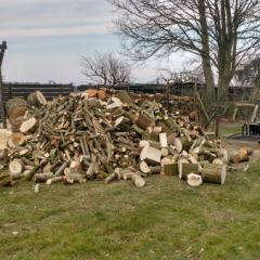 Boomstammen kortgezaagd tot kachelhout - Hoveniersbedrijf C.K. van Mourik Geldermalsen Tiel Culemborg