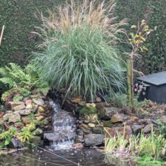 Natuurlijke waterval gemaakt van rubberfolie, keien en cement. Watercirculatie met beeklooppomp  - Hoveniersbedrijf C.K. van Mourik de hovenier voor West Betuwe, Tiel, Culemborg, Geldermalsen, Buren