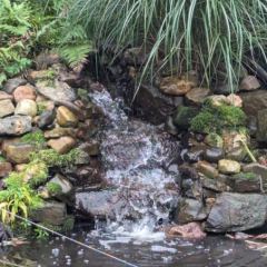 Waterval voor bewegend water, zuurstof verrijking en natuurlijke drinkplaats vogels en dieren - Hoveniersbedrijf C.K. van Mourik de hovenier voor West Betuwe, Tiel, Culemborg, Geldermalsen, Buren