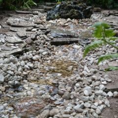 DSC_0225.JPG