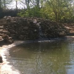 Waterval met filter  - Hoveniersbedrijf C.K. van Mourik