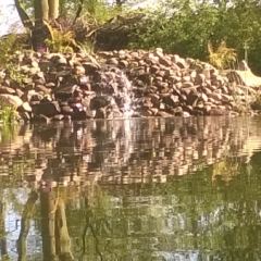 waterval  - Hoveniersbedrijf C.K. van Mourik