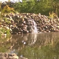 Grote waterval  - Hoveniersbedrijf C.K. van Mourik