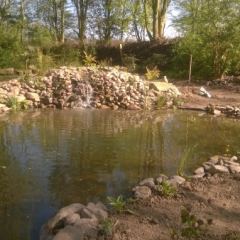 Vijver met waterval  - Hoveniersbedrijf C.K. van Mourik