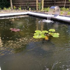 Vijver met waterlelie's, zuurstofplanten en filtersysteem. Hoveniersbedrijf C.K. van Mourik