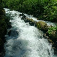 Natuurlijke waterval als voorbeeld - Hoveniersbedrijf C.K. van Mourik Geldermalsen Tiel Culemborg
